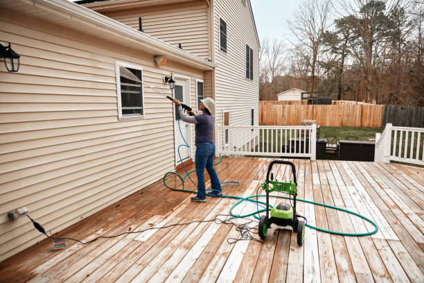 Best House Pressure Washing  in Winsted, MN