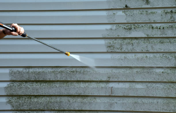 Best Roof Power Washing Services  in Winsted, MN