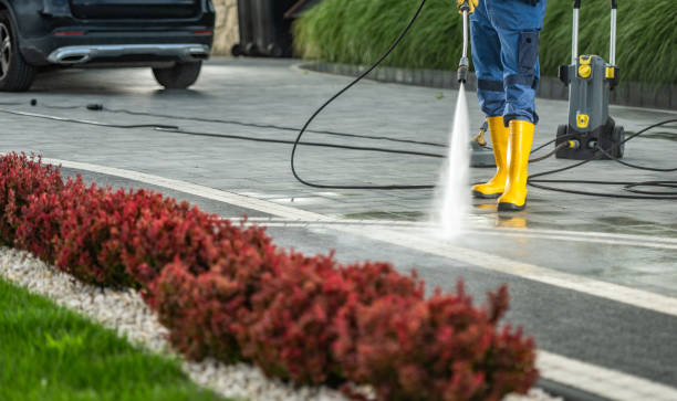Best Commercial Pressure Washing  in Winsted, MN