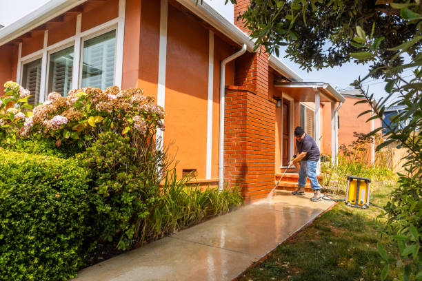 Best Exterior Home Cleaning  in Winsted, MN