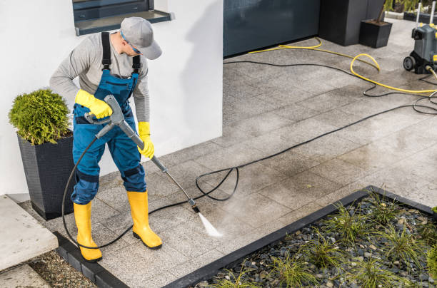 Best Power Washing Near Me  in Winsted, MN